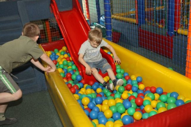 Pszczółki w Tygrysku (zdjęcia)