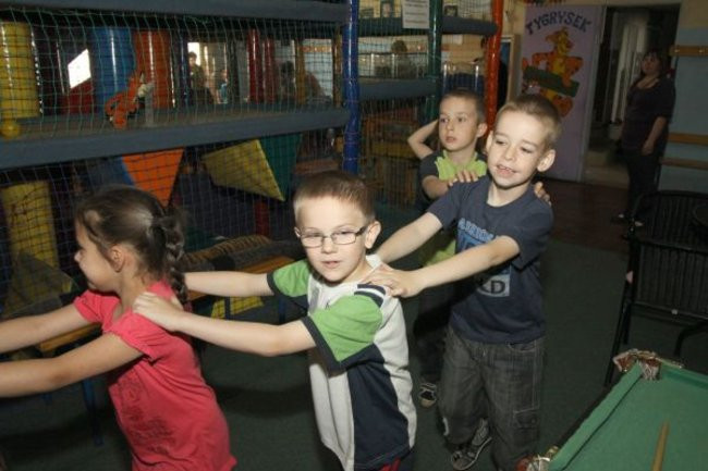 Pszczółki w Tygrysku (zdjęcia)