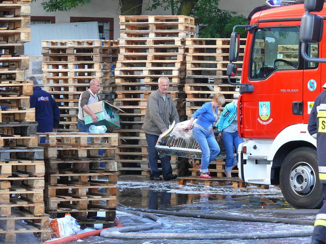 Spłonął supermarket Nomi w Lesznie (zdjęcia)