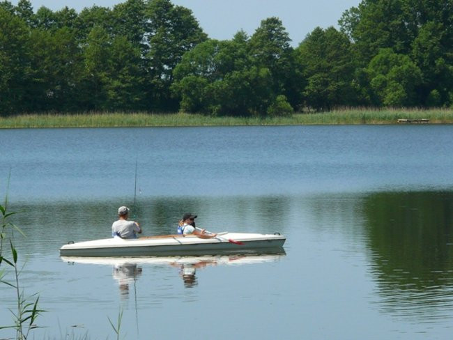 Na konwaliowym szlaku (zdjęcia)