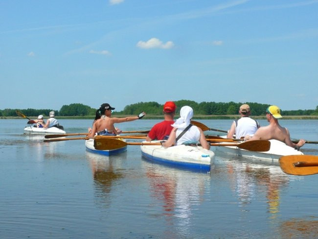 Na konwaliowym szlaku (zdjęcia)