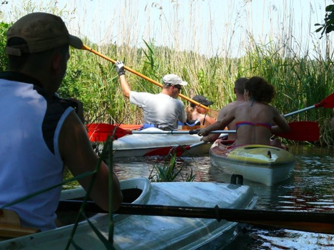 Na konwaliowym szlaku (zdjęcia)