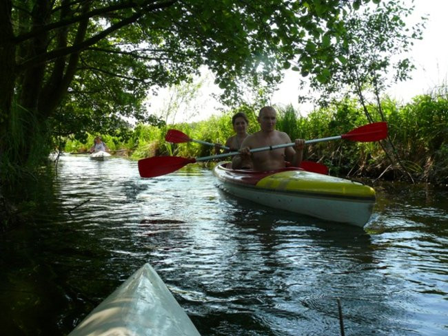 Na konwaliowym szlaku (zdjęcia)