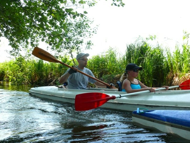 Na konwaliowym szlaku (zdjęcia)