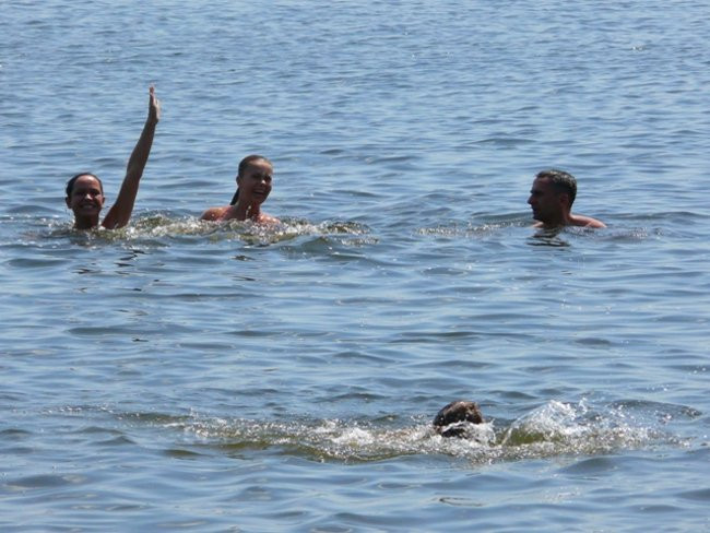 Na konwaliowym szlaku (zdjęcia)