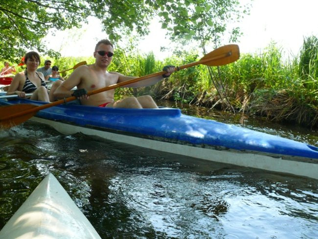 Na konwaliowym szlaku (zdjęcia)