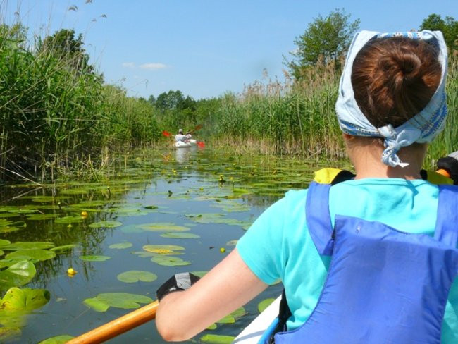 Na konwaliowym szlaku (zdjęcia)