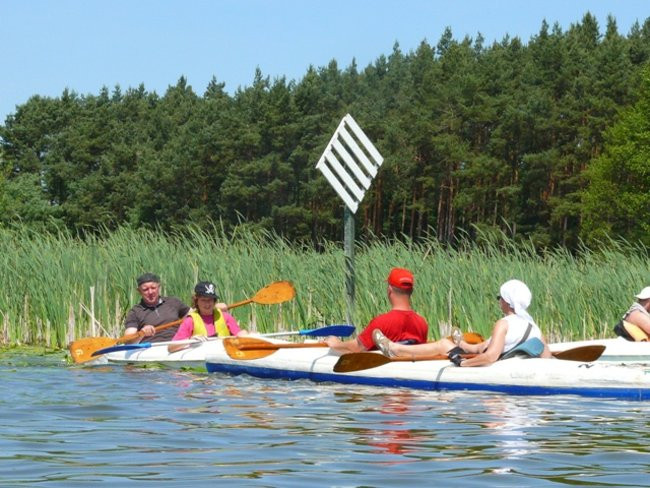 Na konwaliowym szlaku (zdjęcia)