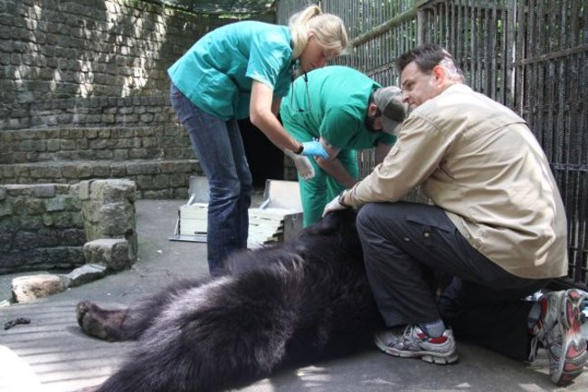 Basia i Kasia opuściły mini zoo (zdjęcia)