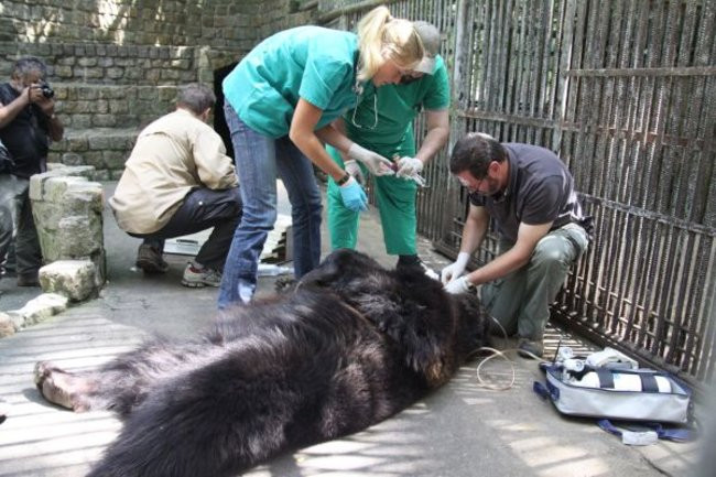 Basia i Kasia opuściły mini zoo (zdjęcia)