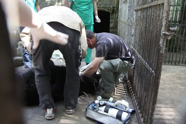 Basia i Kasia opuściły mini zoo (zdjęcia)