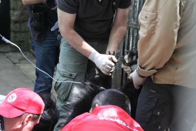 Basia i Kasia opuściły mini zoo (zdjęcia)