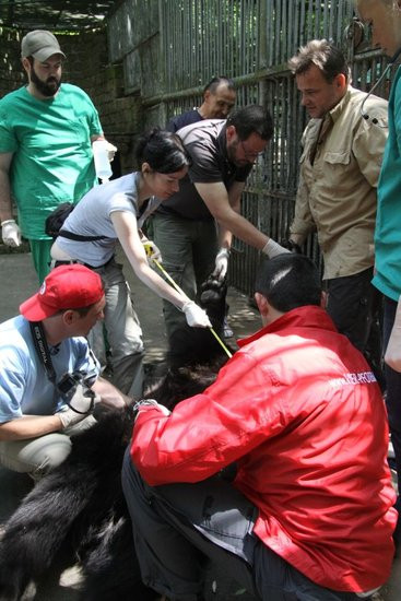 Basia i Kasia opuściły mini zoo (zdjęcia)