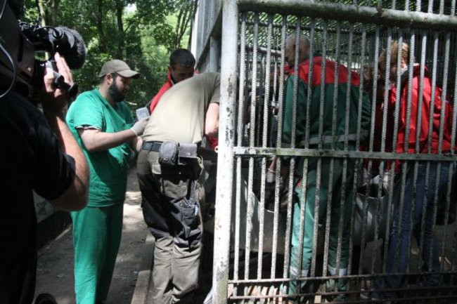 Basia i Kasia opuściły mini zoo (zdjęcia)