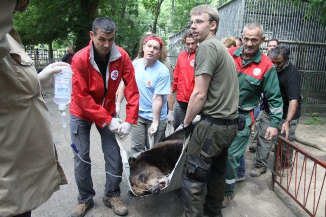 Basia i Kasia opuściły mini zoo (zdjęcia)