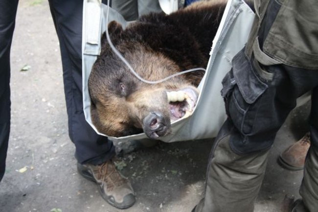 Basia i Kasia opuściły mini zoo (zdjęcia)