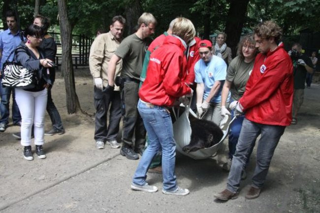 Basia i Kasia opuściły mini zoo (zdjęcia)
