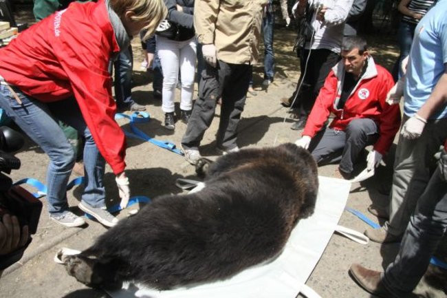 Basia i Kasia opuściły mini zoo (zdjęcia)