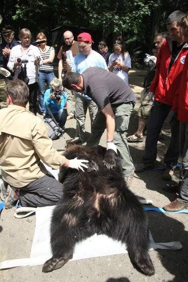 Basia i Kasia opuściły mini zoo (zdjęcia)