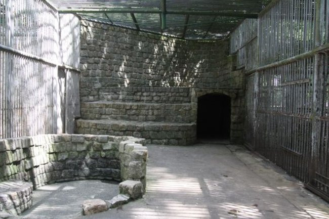 Basia i Kasia opuściły mini zoo (zdjęcia)