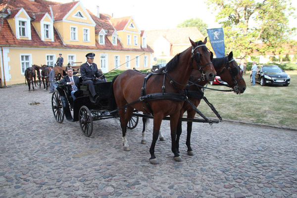 Podziękowania dla przedsiębiorców (zdjęcia)