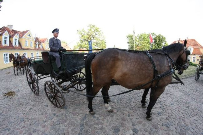 Podziękowania dla przedsiębiorców (zdjęcia)