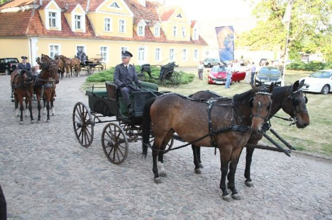 Podziękowania dla przedsiębiorców (zdjęcia)