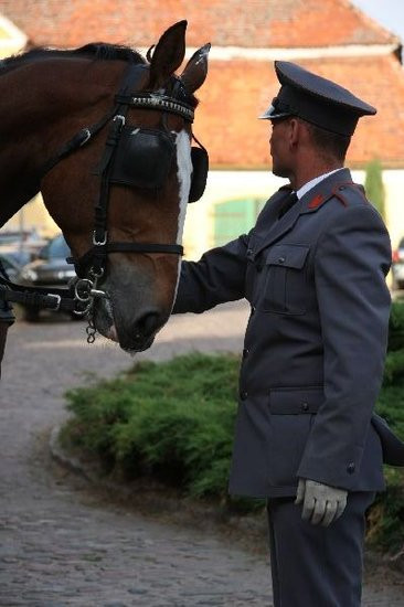 Podziękowania dla przedsiębiorców (zdjęcia)