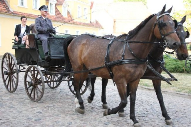 Podziękowania dla przedsiębiorców (zdjęcia)
