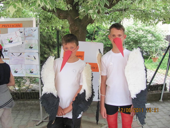 W obronie bociana (zdjęcia)