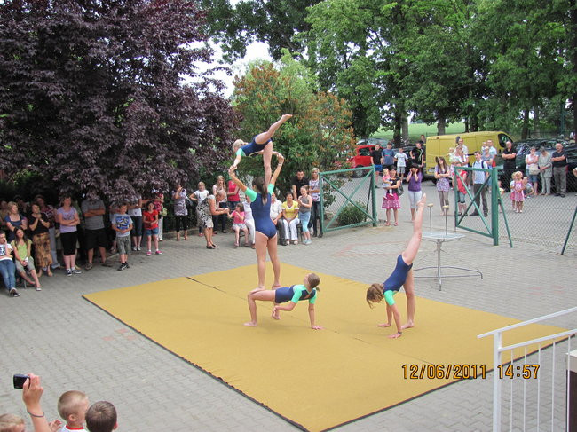 W obronie bociana (zdjęcia)