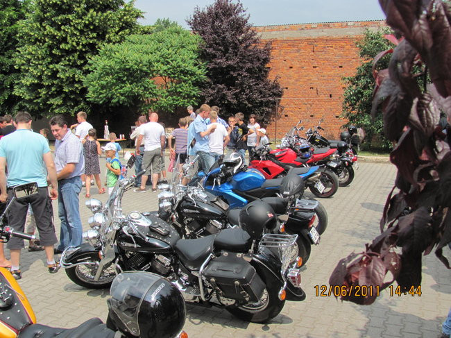 W obronie bociana (zdjęcia)