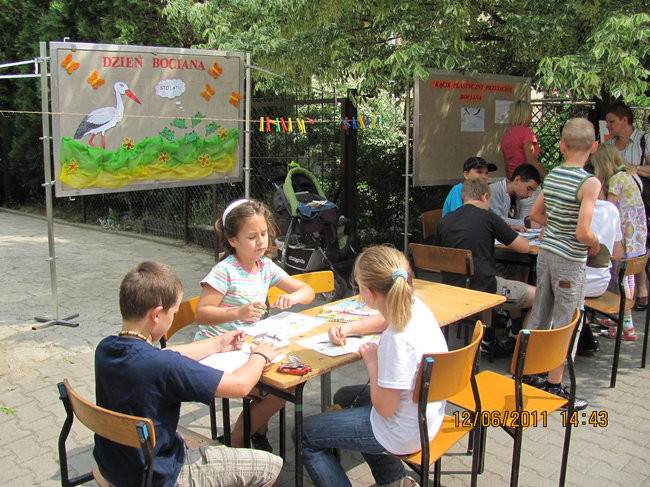 W obronie bociana (zdjęcia)