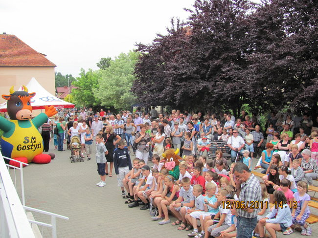 W obronie bociana (zdjęcia)