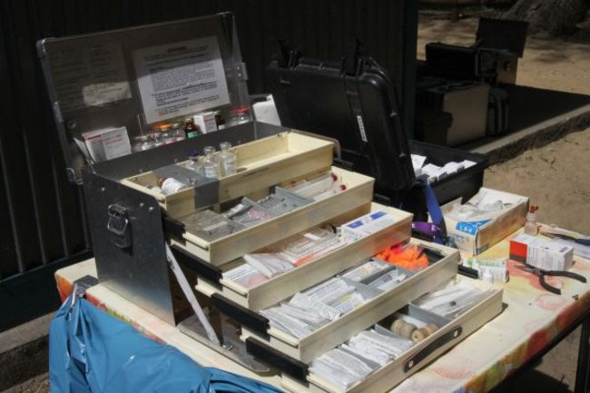 Misie bardzo dobrze zniosły drogę