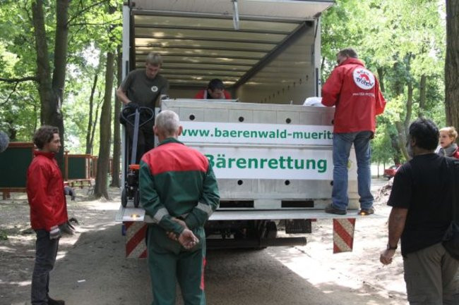 Misie bardzo dobrze zniosły drogę