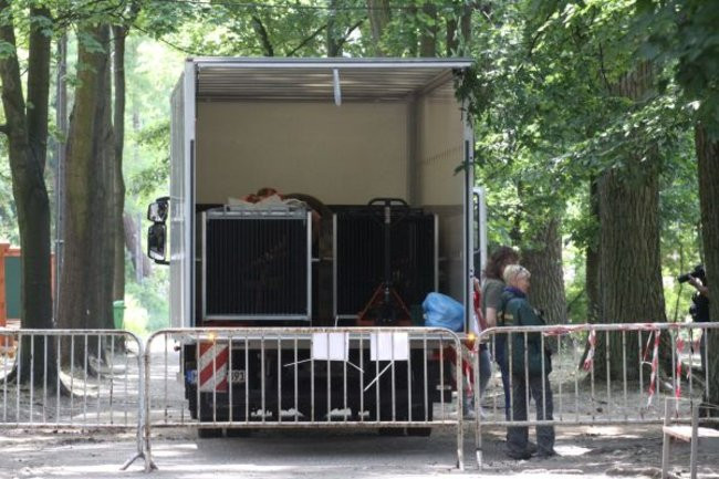 Misie bardzo dobrze zniosły drogę