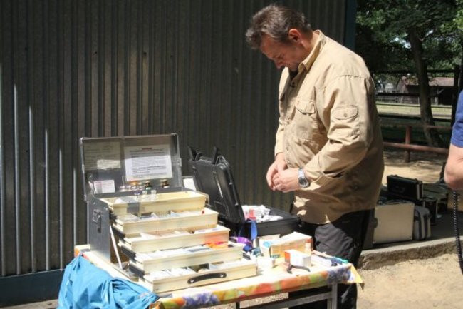 Misie bardzo dobrze zniosły drogę