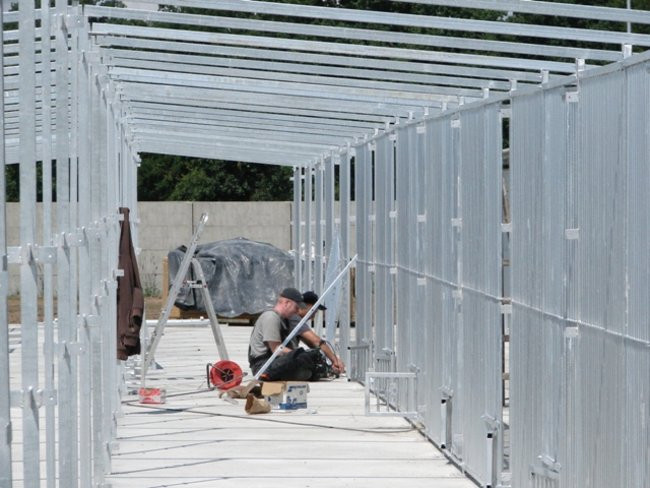 Luksusowe schronisko dla psów (zdjęcia)