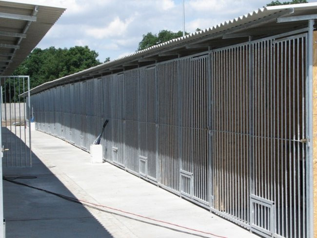 Luksusowe schronisko dla psów (zdjęcia)