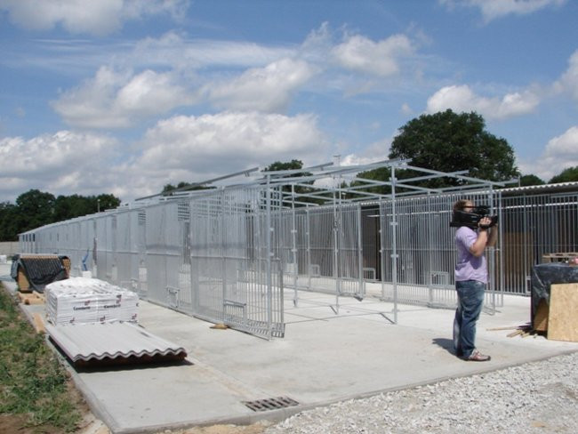 Luksusowe schronisko dla psów (zdjęcia)