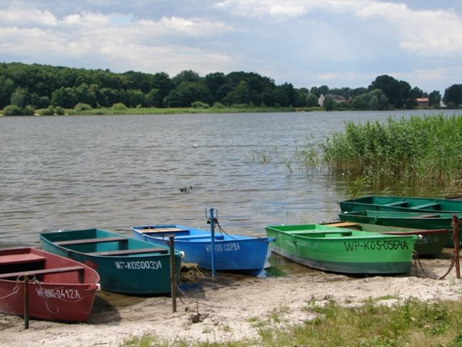 Dębiec Nowy przed sezonem (zdjęcia)