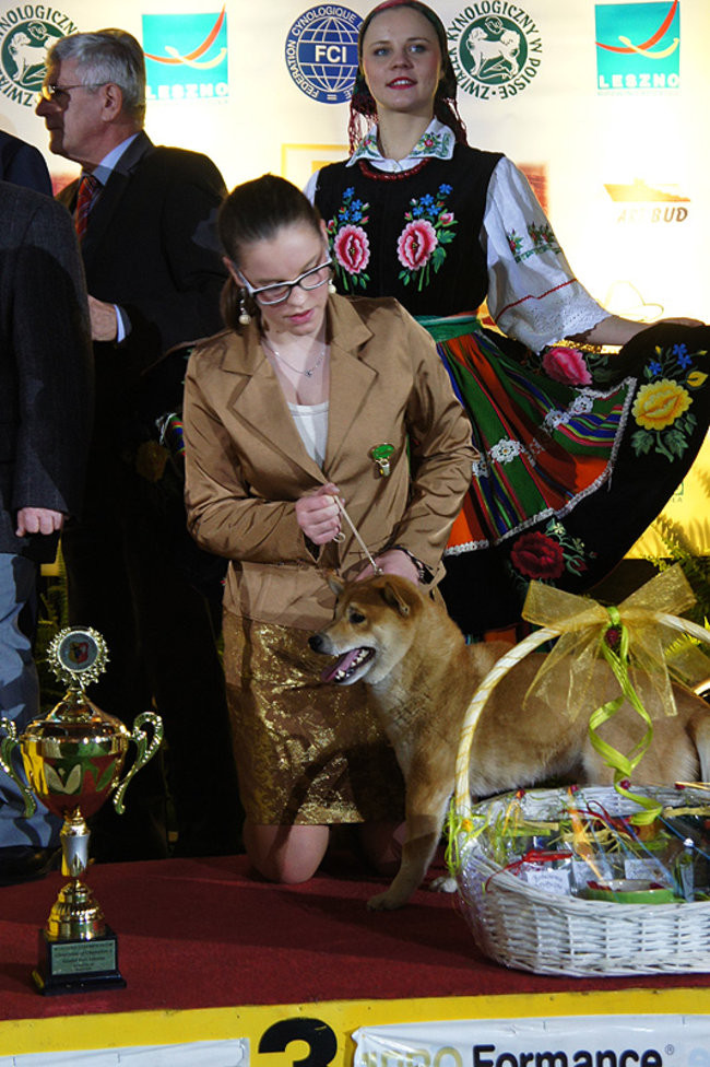 Dog niemiecki pokonał wszystkich (zdjęcia)