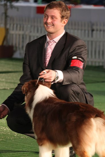 Dog niemiecki pokonał wszystkich (zdjęcia)