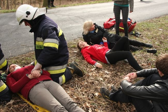 Strażacy z dziewięciu powiatów ćwiczyli pod Wojnowicami (dźwięk, zdjęcia i wideo)