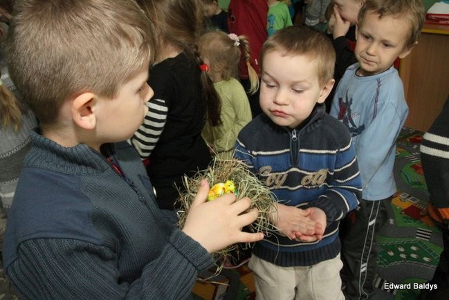 Zajączek zawitał do Świerczyny (zdjęcia)