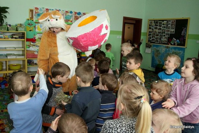 Zajączek zawitał do Świerczyny (zdjęcia)