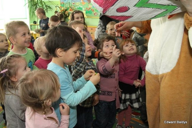 Zajączek zawitał do Świerczyny (zdjęcia)