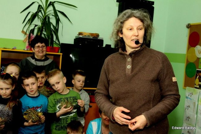 Zajączek zawitał do Świerczyny (zdjęcia)