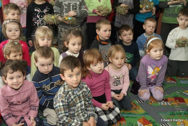 Zajączek zawitał do Świerczyny (zdjęcia)